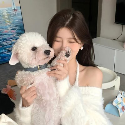 小象守护者